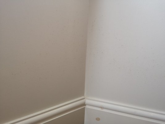 1 - Lounge wall.jpg 1 - Lounge wall.jpg