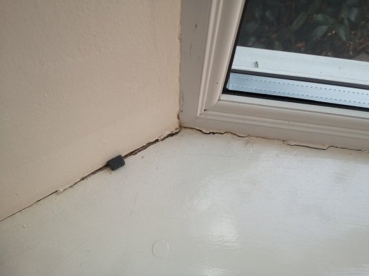 3 - DR window.jpg 3 - DR window.jpg