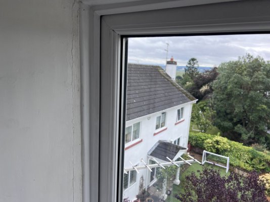 IMG_8657.jpeg IMG_8657.jpeg