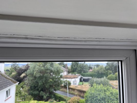 IMG_8655.jpeg IMG_8655.jpeg