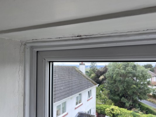 IMG_8656.jpeg IMG_8656.jpeg