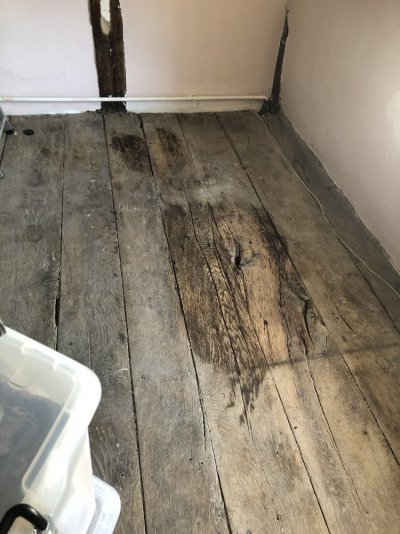 IMG_8527.jpeg IMG_8527.jpeg