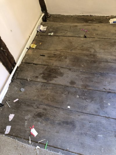 IMG_8390.jpeg IMG_8390.jpeg