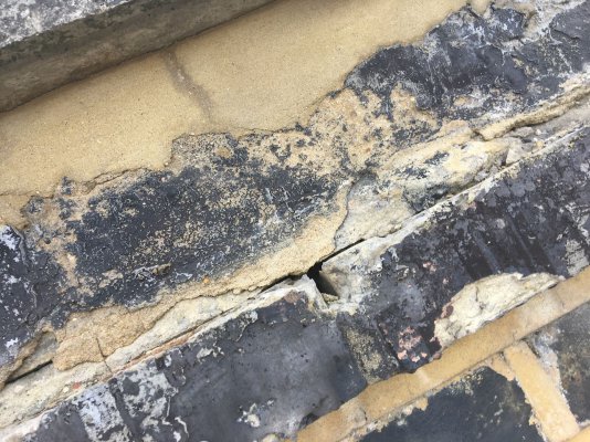 IMG_4430.jpeg IMG_4430.jpeg