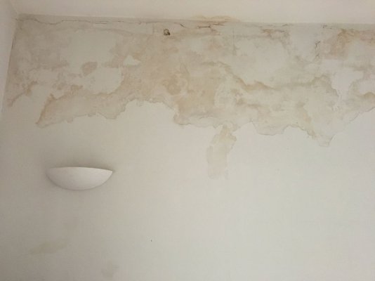 IMG_4407.jpeg IMG_4407.jpeg