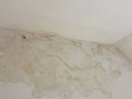 IMG_4409.jpeg IMG_4409.jpeg