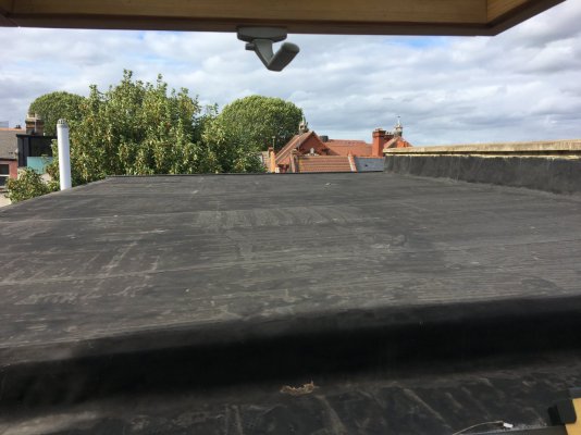 IMG_4432.jpeg IMG_4432.jpeg