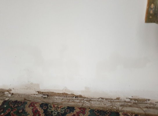new-damp.jpg new-damp.jpg
