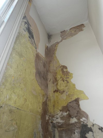 IMG_1613.jpeg IMG_1613.jpeg