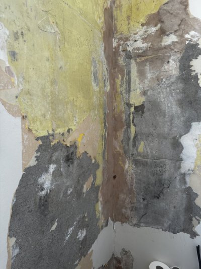 IMG_1614.jpeg IMG_1614.jpeg