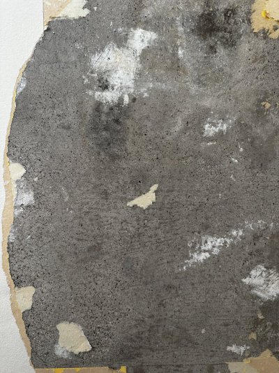 IMG_1615.jpeg IMG_1615.jpeg