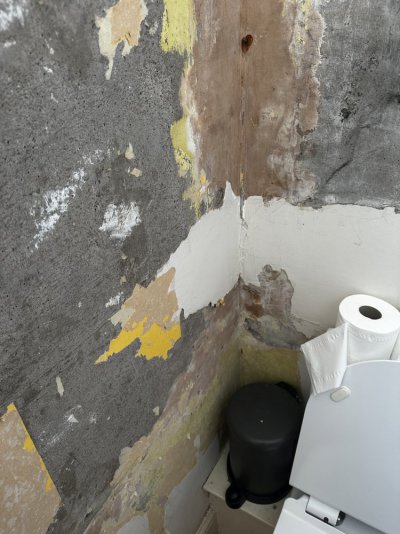 IMG_1616.jpeg IMG_1616.jpeg