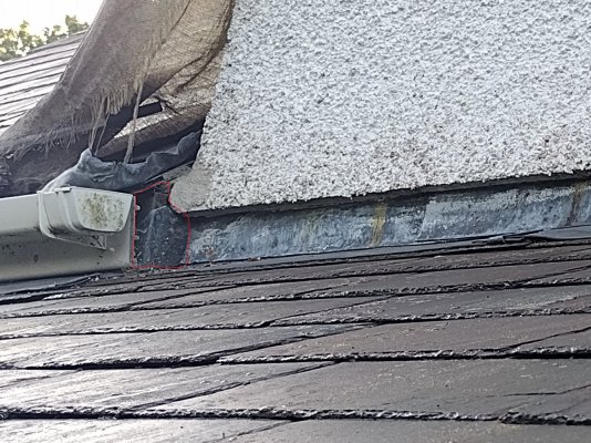 IMG_20230903_084913609 marked lower section.jpg IMG_20230903_084913609 marked lower section.jpg