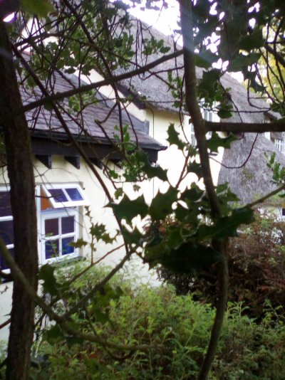 IMG_20230905_191541_burst_01.jpg IMG_20230905_191541_burst_01.jpg