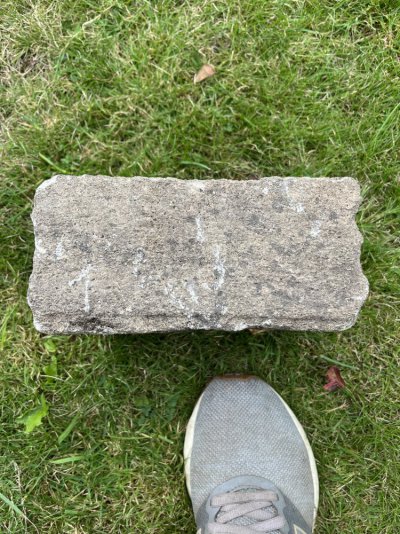 IMG_6593.jpeg IMG_6593.jpeg