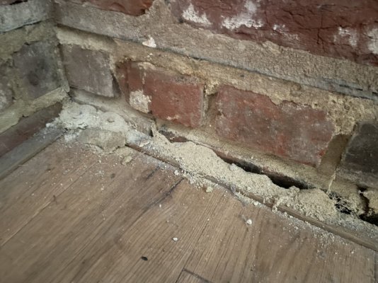 IMG_5332.jpeg IMG_5332.jpeg