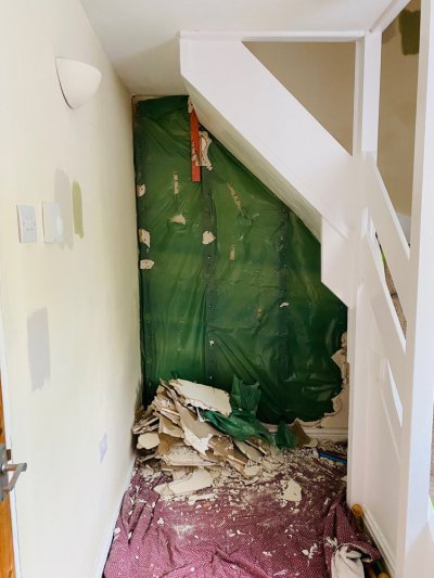 IMG_1381.jpg IMG_1381.jpg