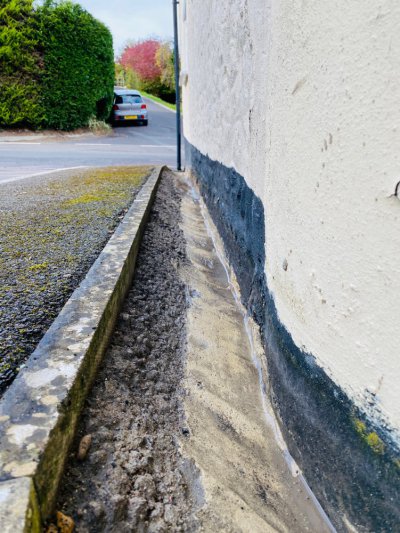 IMG_6376.jpg IMG_6376.jpg