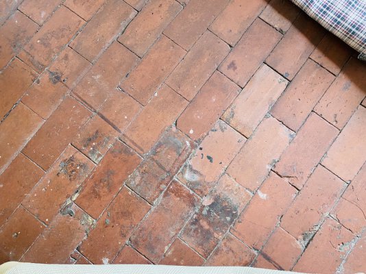 IMG_1666.jpeg IMG_1666.jpeg