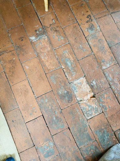 IMG_1665.jpeg IMG_1665.jpeg