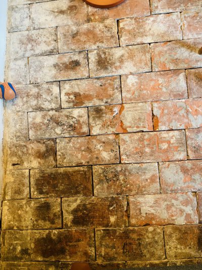 IMG_1664.jpeg IMG_1664.jpeg