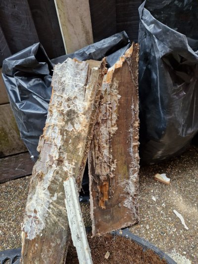 20231024_150328.jpg 20231024_150328.jpg