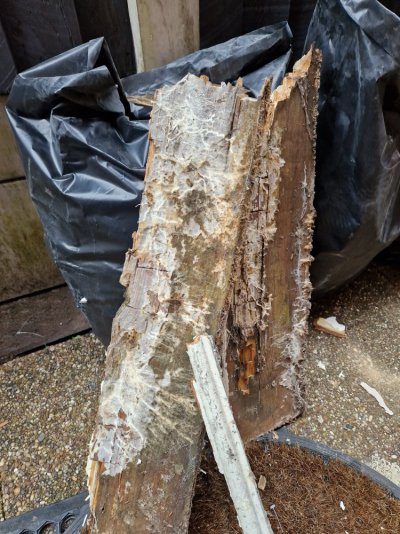 20231024_150325.jpg 20231024_150325.jpg