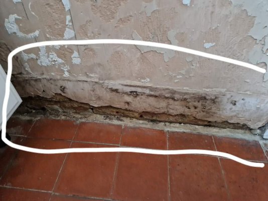 FB_IMG_1698227249376.jpg FB_IMG_1698227249376.jpg