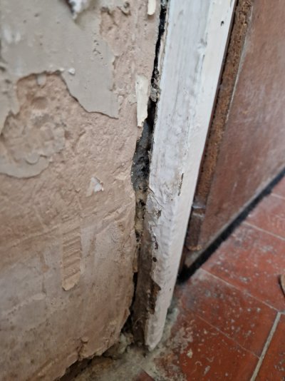 20231025_092111.jpg 20231025_092111.jpg