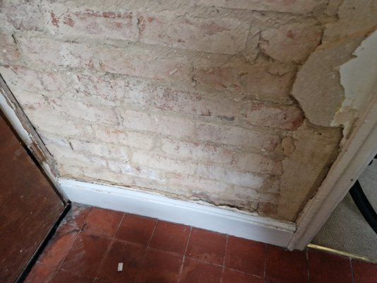 20231025_092056.jpg 20231025_092056.jpg