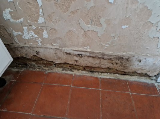 20231025_092032.jpg 20231025_092032.jpg