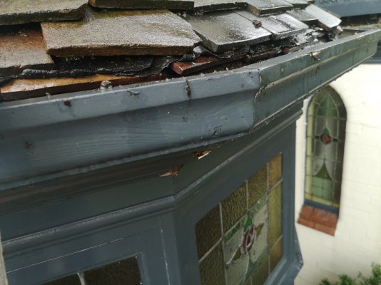 IMG_20231104_133709.jpg IMG_20231104_133709.jpg