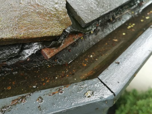 IMG_20231104_133610.jpg IMG_20231104_133610.jpg