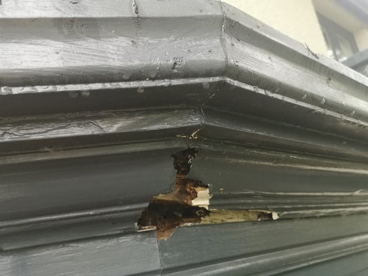 IMG_20231104_133546.jpg IMG_20231104_133546.jpg