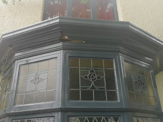 IMG_20231104_133512.jpg IMG_20231104_133512.jpg