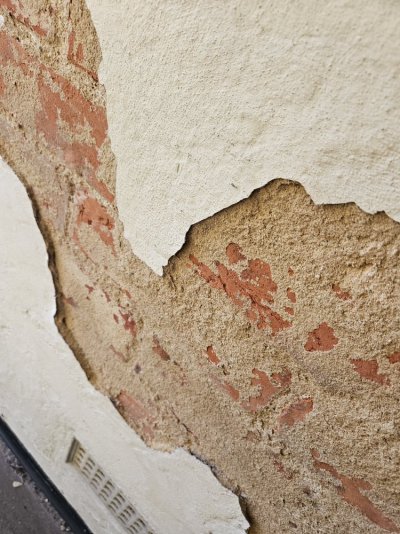 20231107_083700.jpg 20231107_083700.jpg