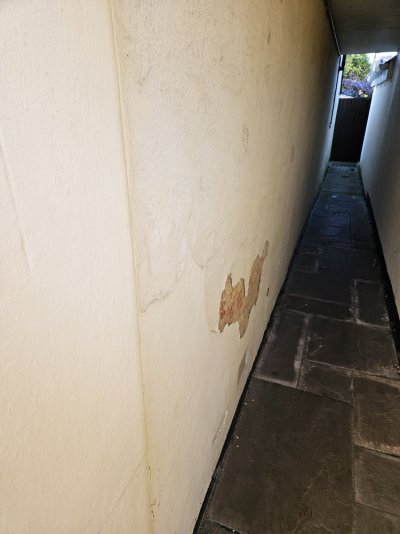 20231107_083645.jpg 20231107_083645.jpg