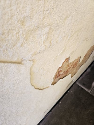 20231107_083650.jpg 20231107_083650.jpg