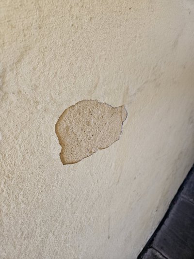 20231107_083655.jpg 20231107_083655.jpg