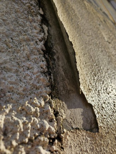 20231109_083555.jpg 20231109_083555.jpg