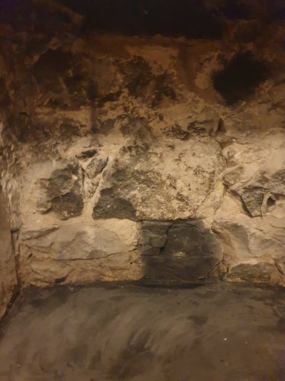 20231110_182956.jpg 20231110_182956.jpg