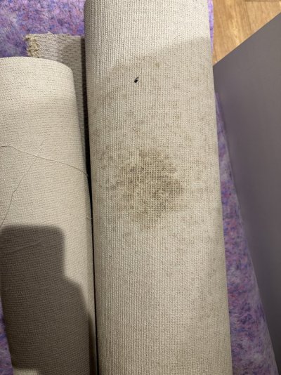 IMG_2960.jpg IMG_2960.jpg