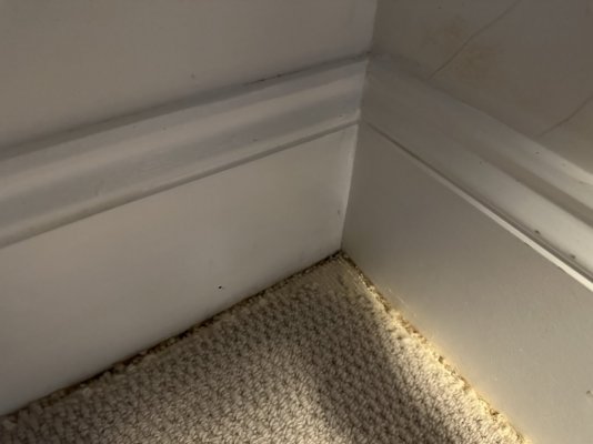 IMG_2936.jpg IMG_2936.jpg