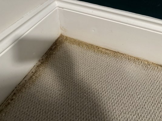 IMG_2939.jpg IMG_2939.jpg