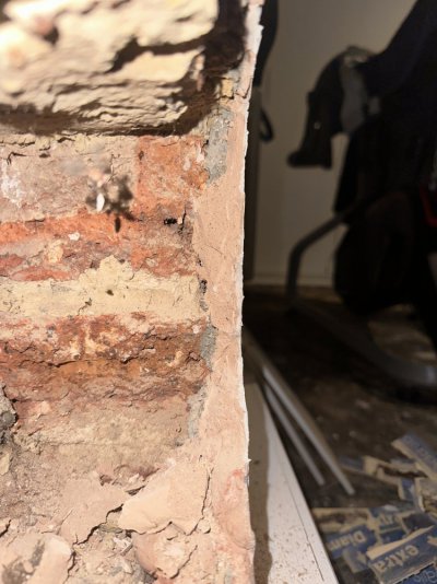 IMG_2971.jpg IMG_2971.jpg