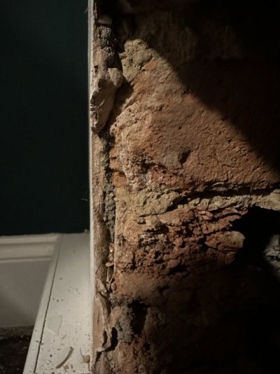 IMG_2981.jpg IMG_2981.jpg