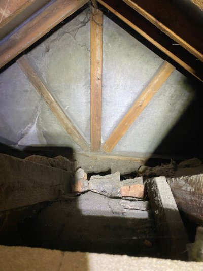 IMG_3375.jpeg IMG_3375.jpeg