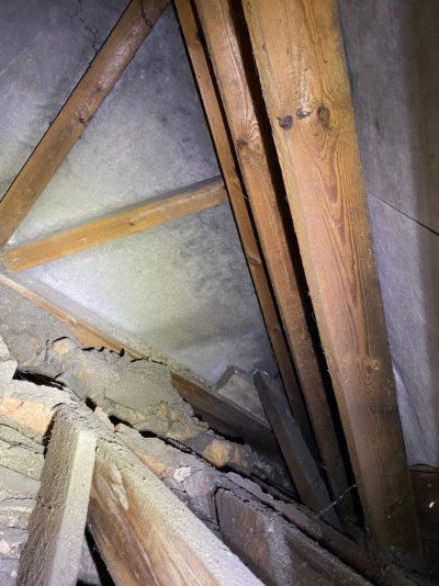 IMG_3376.jpeg IMG_3376.jpeg