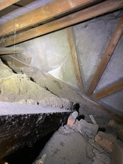 IMG_3377.jpeg IMG_3377.jpeg