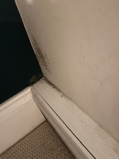 IMG_2284.jpg IMG_2284.jpg